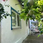 Kalemi Marmara Adasi