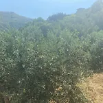 Kalemi Marmara Adasi