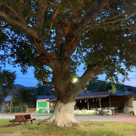 Kalemi Privat bolig *