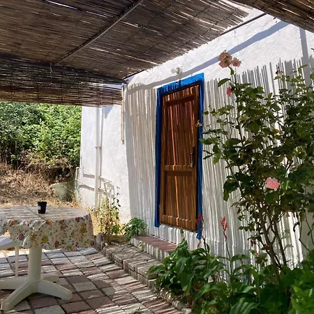 Kalemi Marmara Adasi