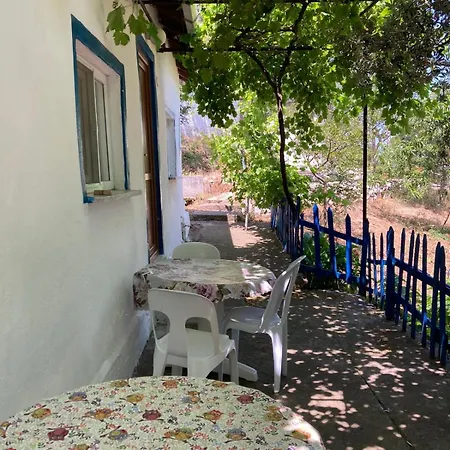 Kalemi * Marmara Adasi