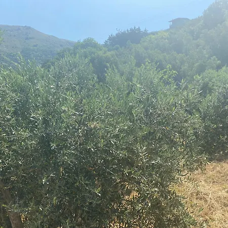 Kalemi מרמרה אדסי