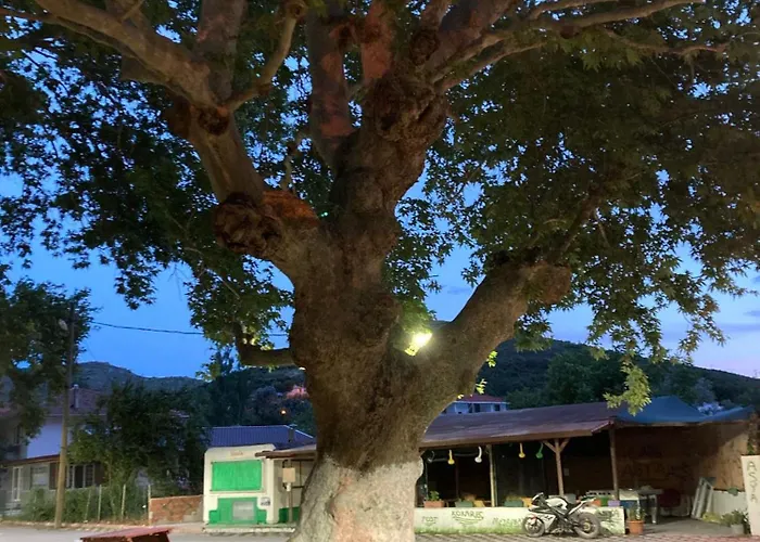 Kalemi Privatunterkunft *