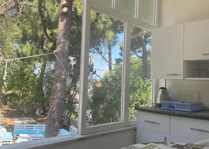 Séjour chez l'habitant Kalemi